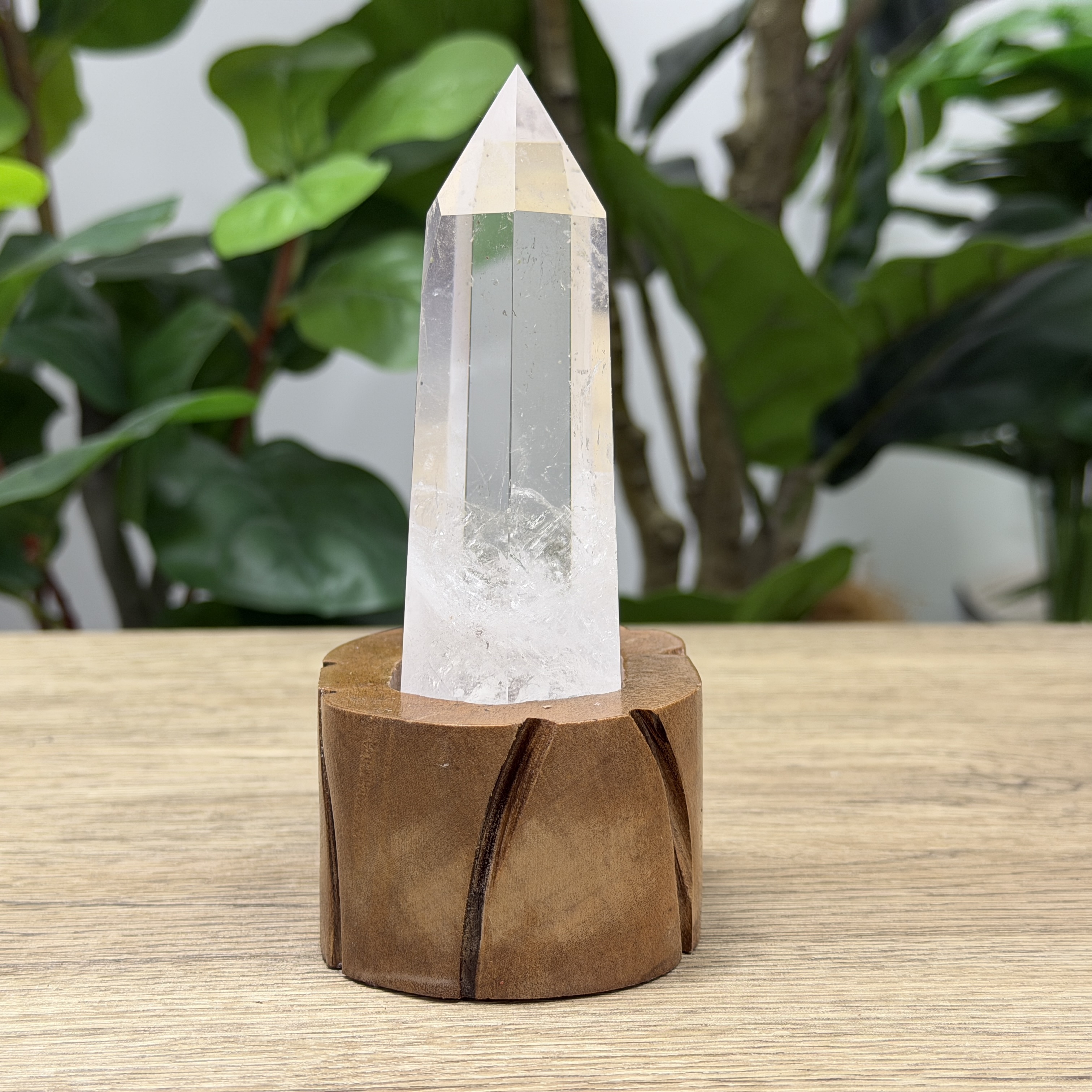 白晶柱 手圍14.5以上 WD2168