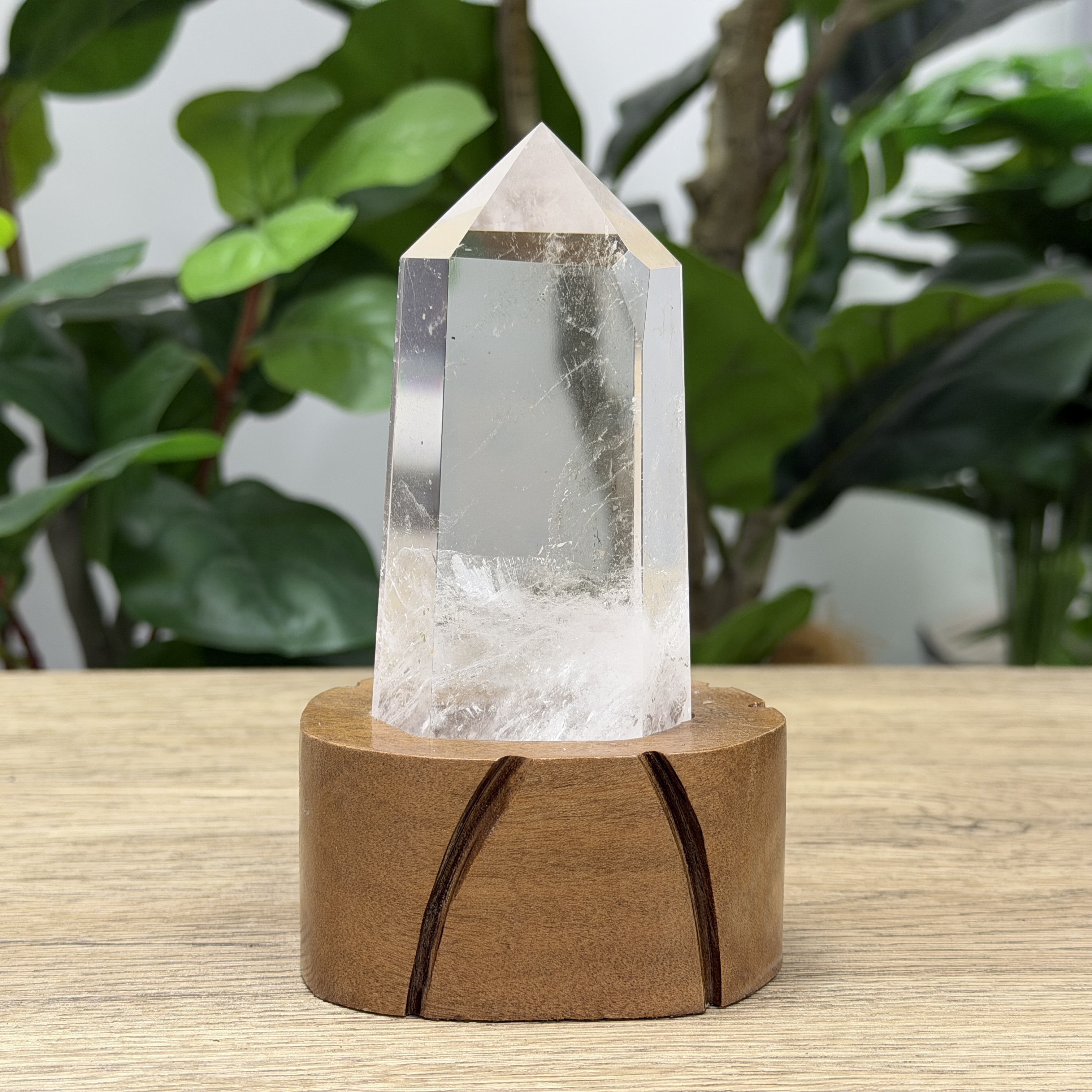 白晶柱 手圍14.5以上 WD2168