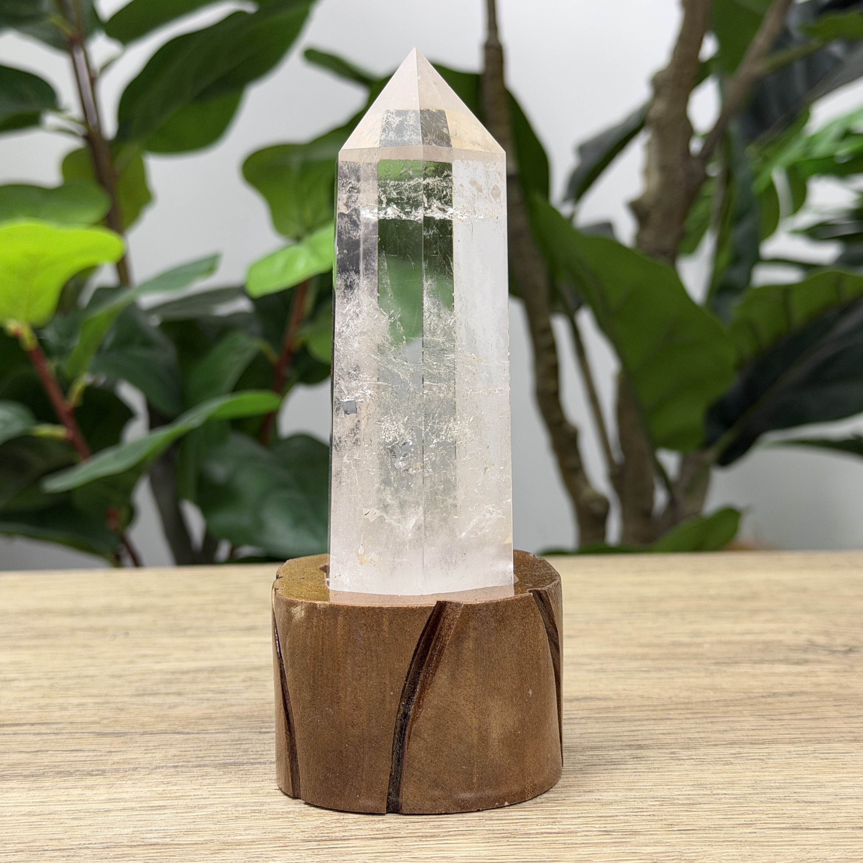 白晶柱 手圍14.5以上 WD2167