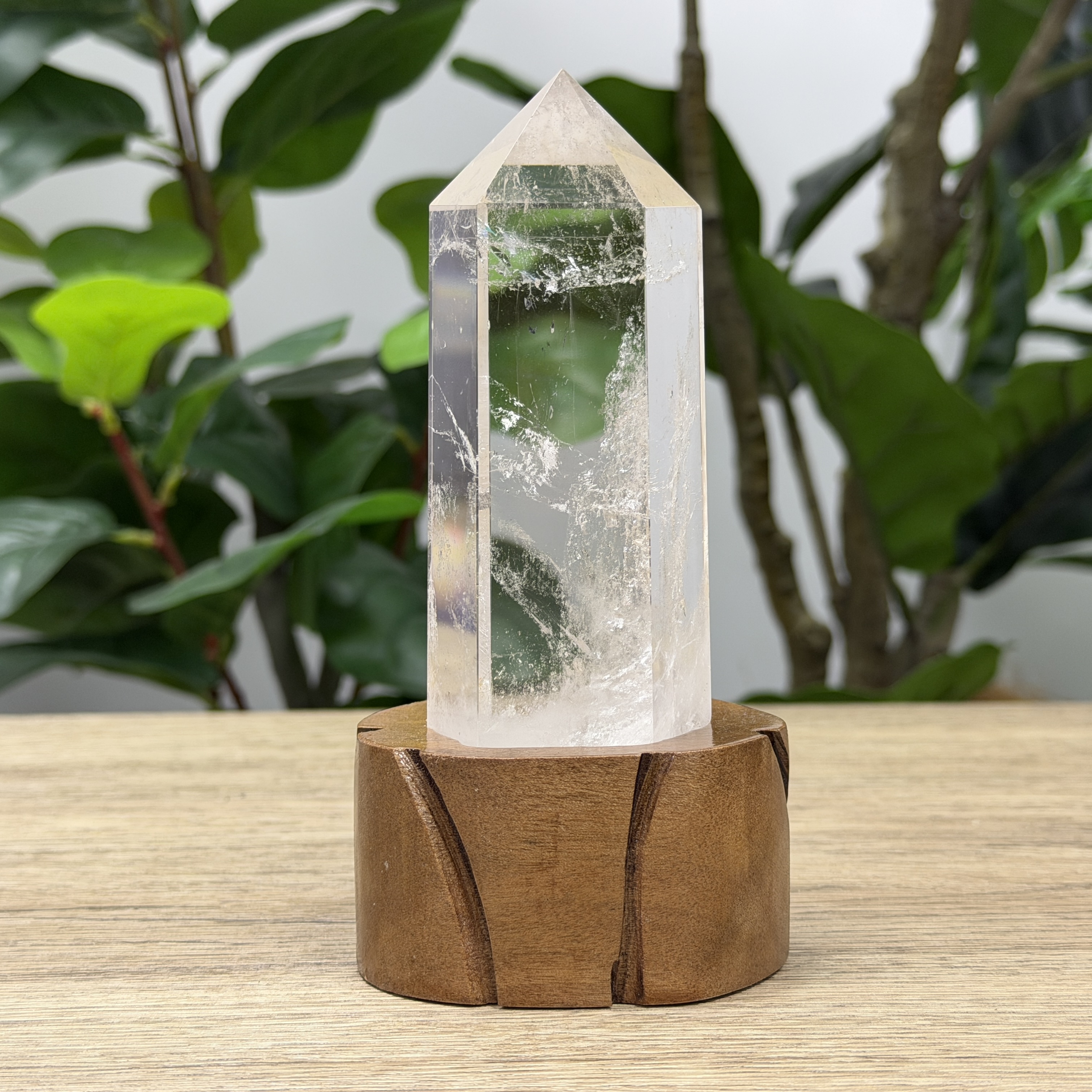 白晶柱 手圍14.5以上 WD2167