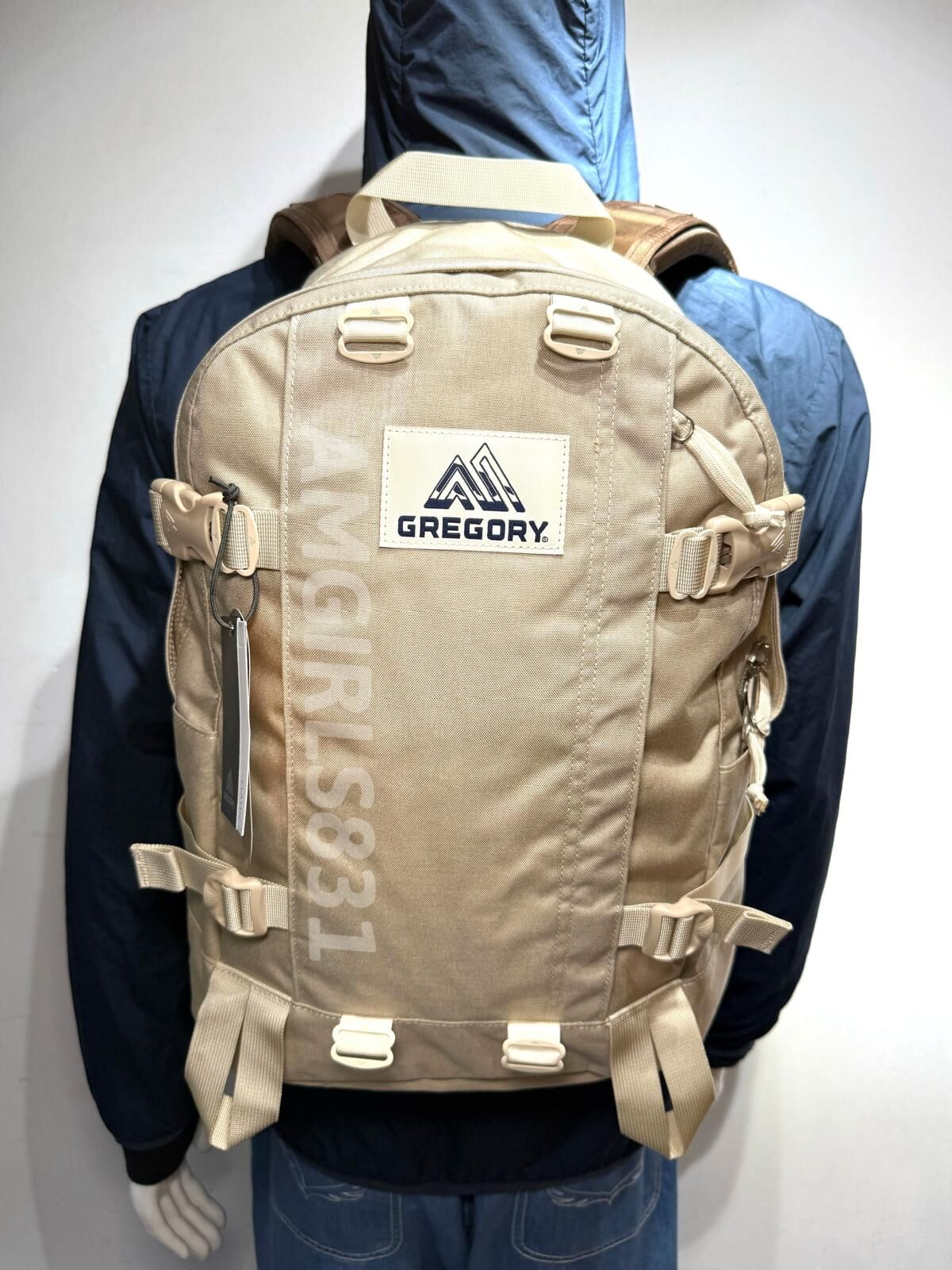 Gregory All day V2.1 beige/sand