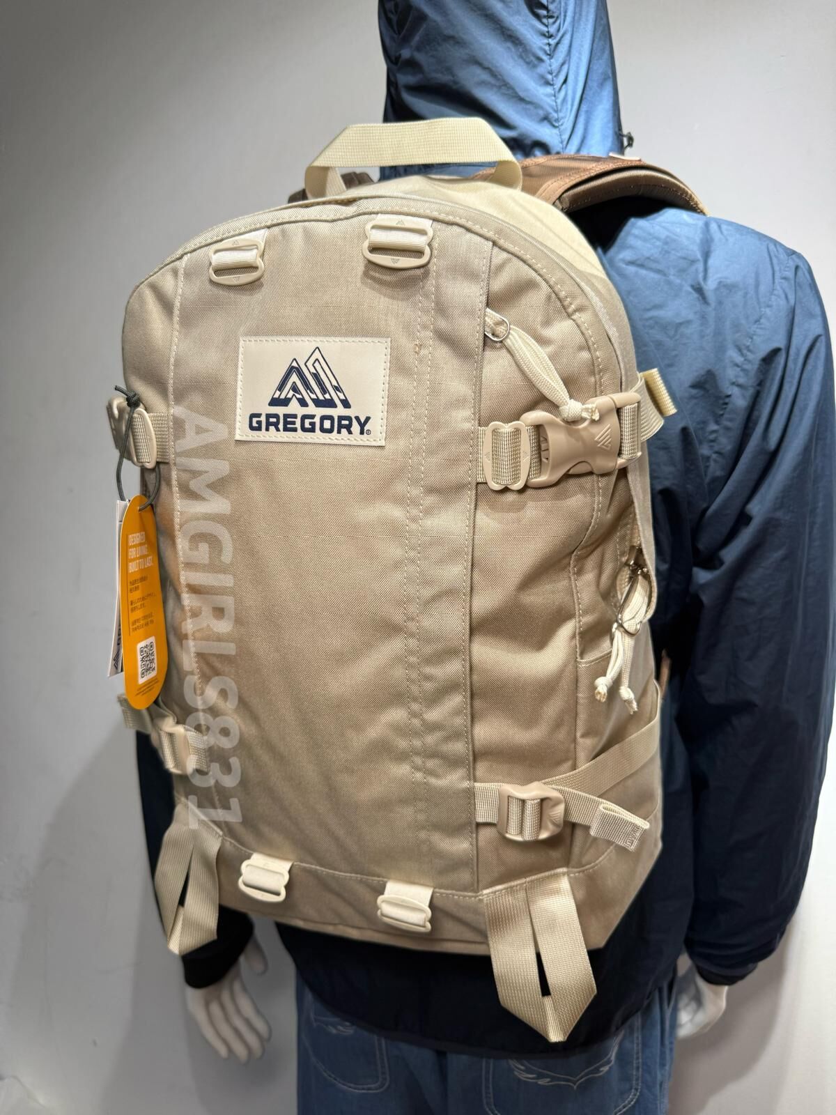 Gregory All day V2.1 beige/sand