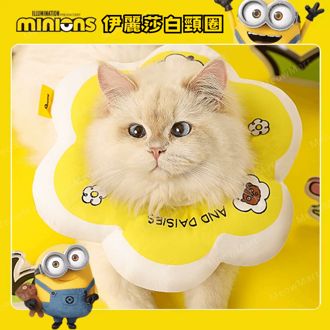 【現貨8折】minions花朵伊麗莎白頸圈｜防咬防舔防抓 (貓狗適用)
