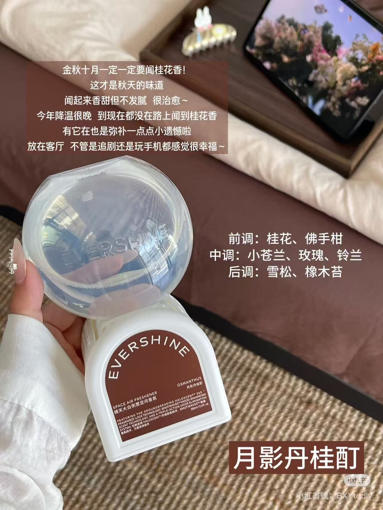 🩷 晴天大白室內倒置香氛🩷