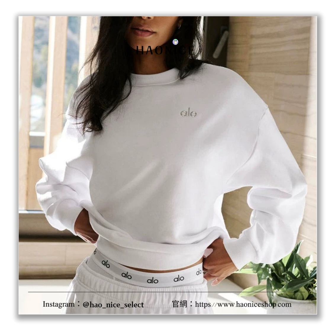 【HAO NICE】運動大牌🧘 alo Accolade 經典logo純色長袖 大學T 長T