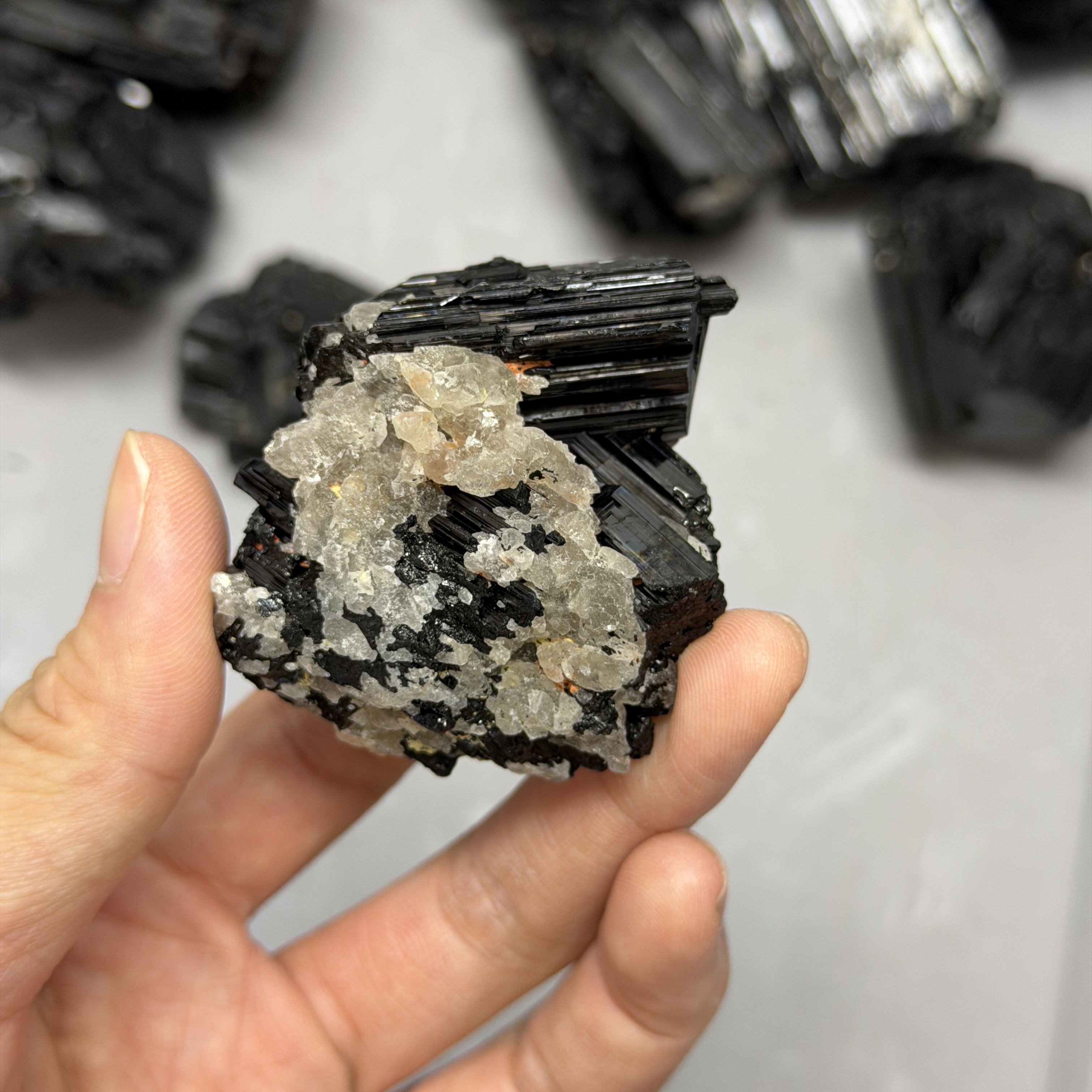 收藏品黑碧璽/電氣石礦標 TRR1762