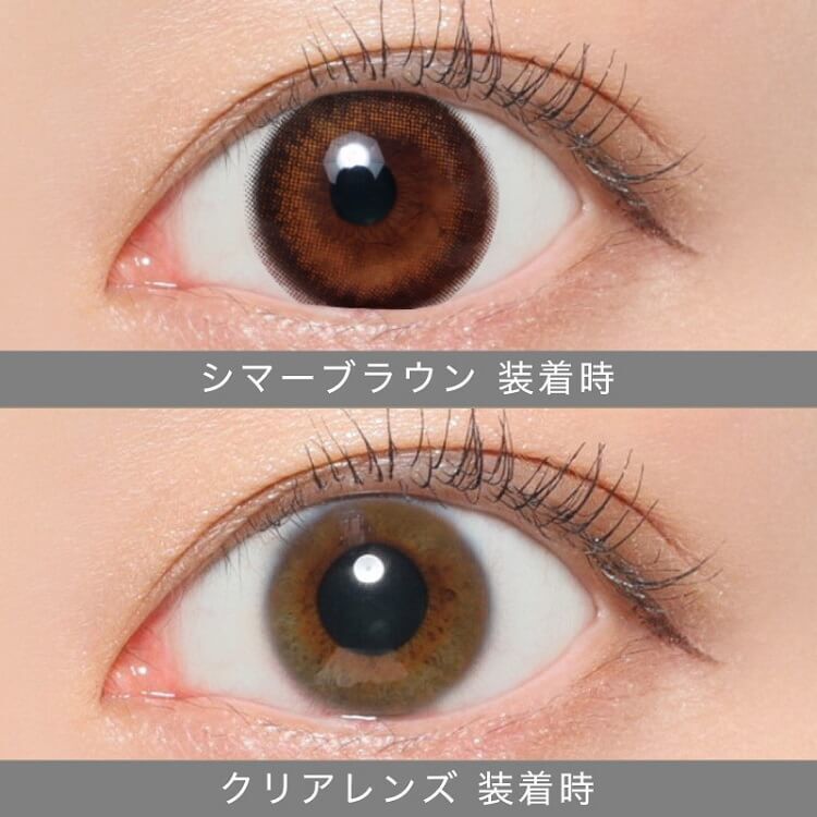 Secret Candy Magic Monthly (Shimmer Brown)