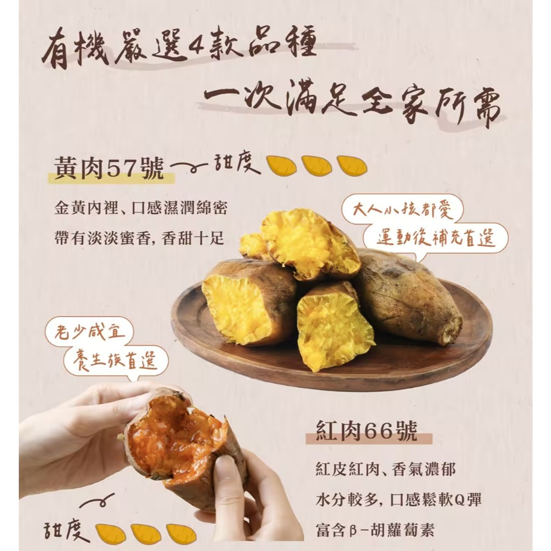 (團購)薯薯樂冰烤地瓜(12/24到貨)