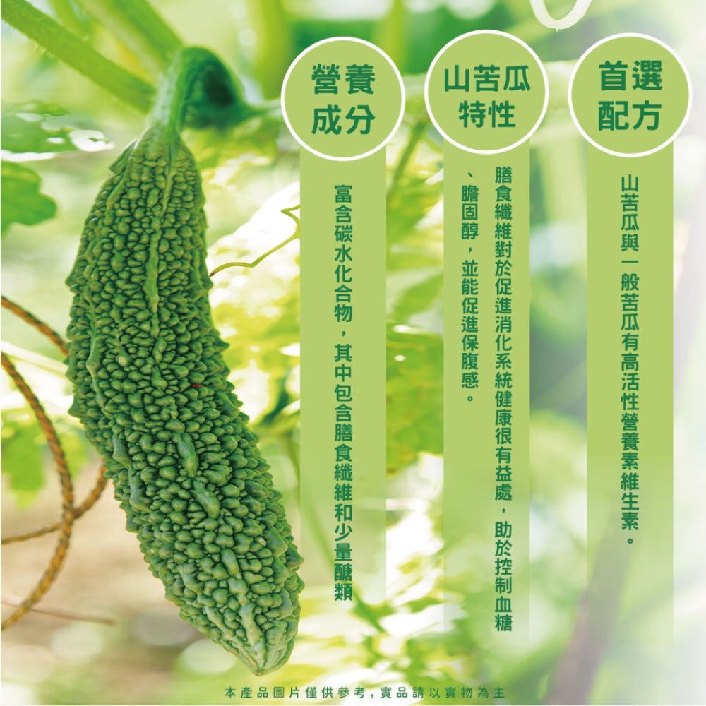 【口齒留香】山苦瓜糙米蕎麥茶(15入/袋)