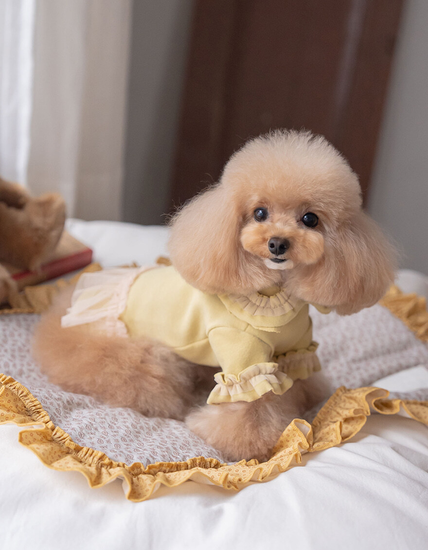 OPAAAP 芭蕾紗裙T-Shirt_芥末