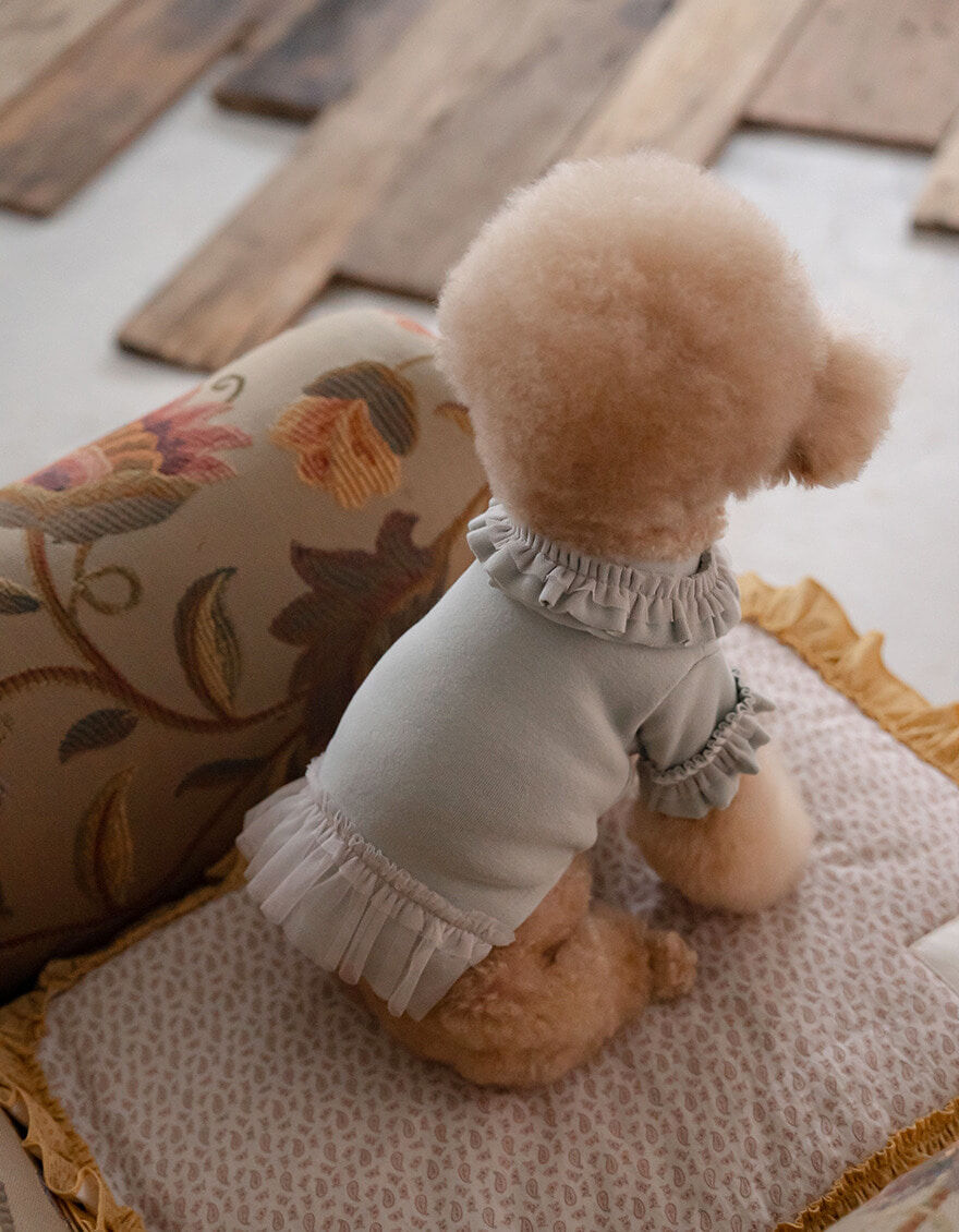 OPAAAP 芭蕾紗裙T-Shirt_薄荷