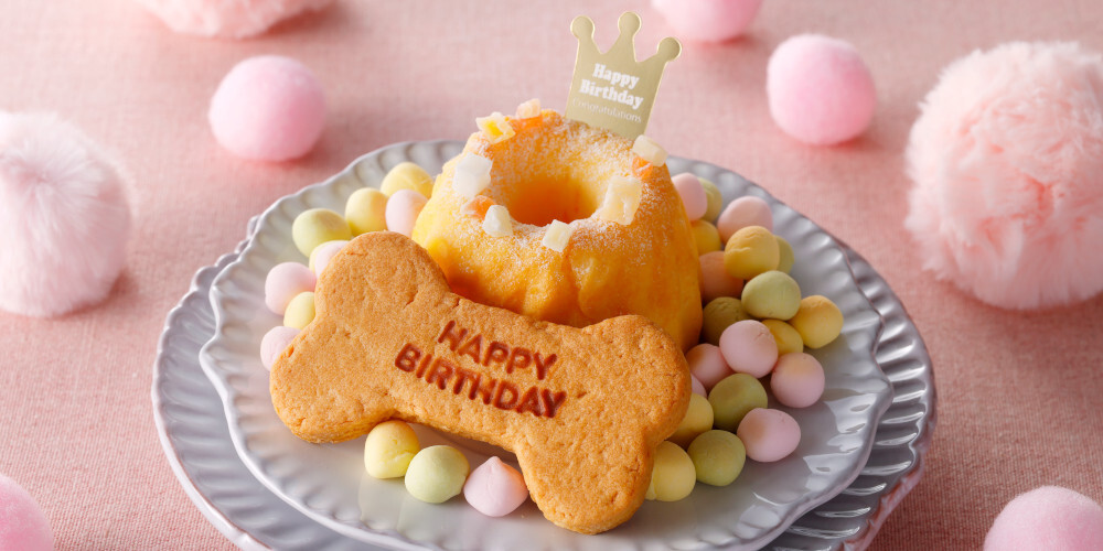 【Humming Dog】生日蛋糕套裝 [狗用]