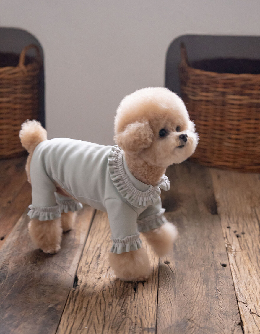 OPAAAP 芭蕾紗裙連身褲_薄荷