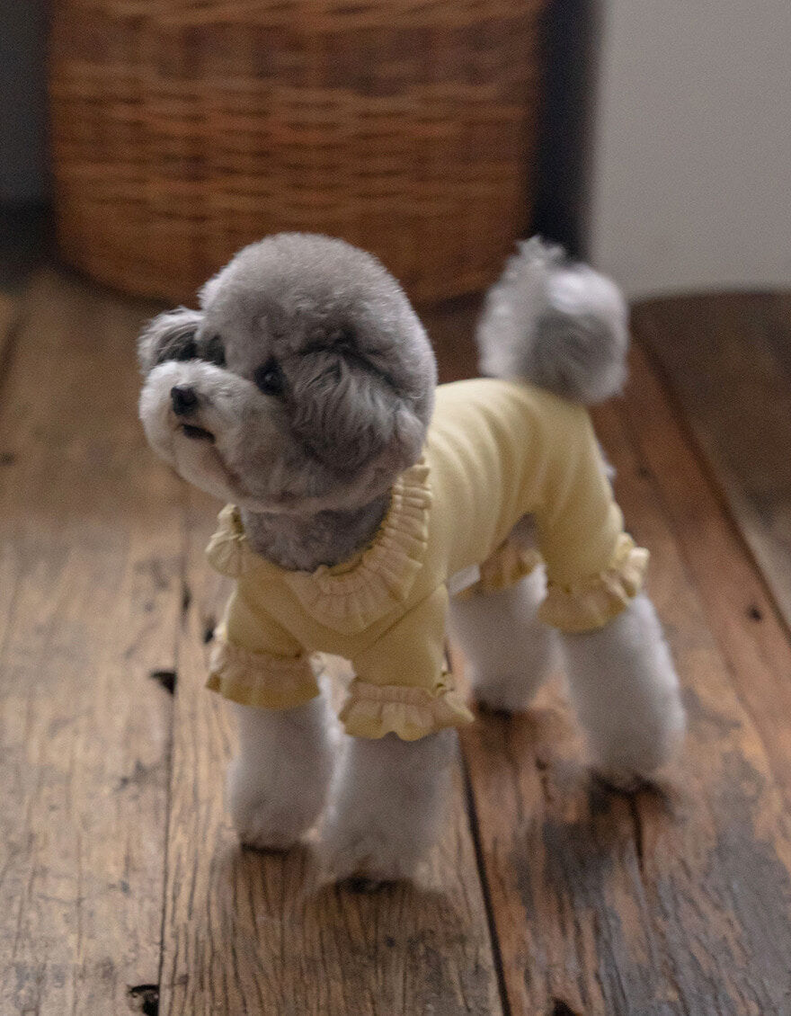 OPAAAP 芭蕾紗裙連身褲_芥末