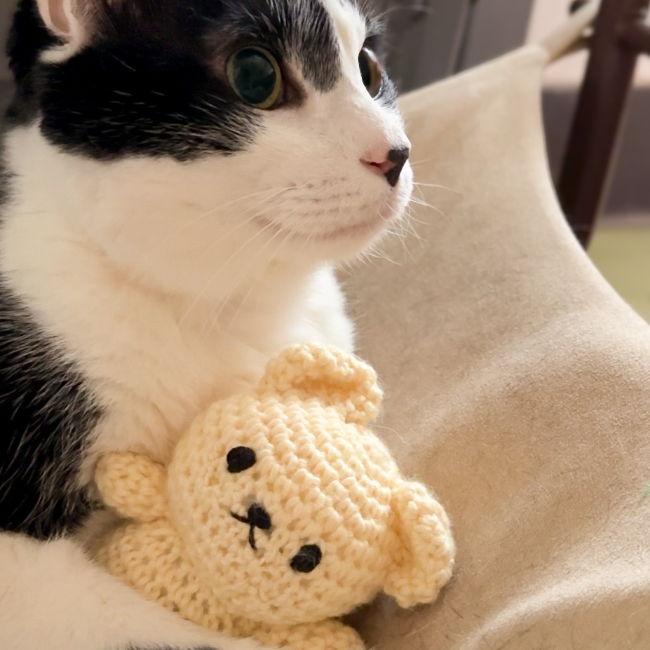 Bananie 的小禮物｜貓咪專屬版