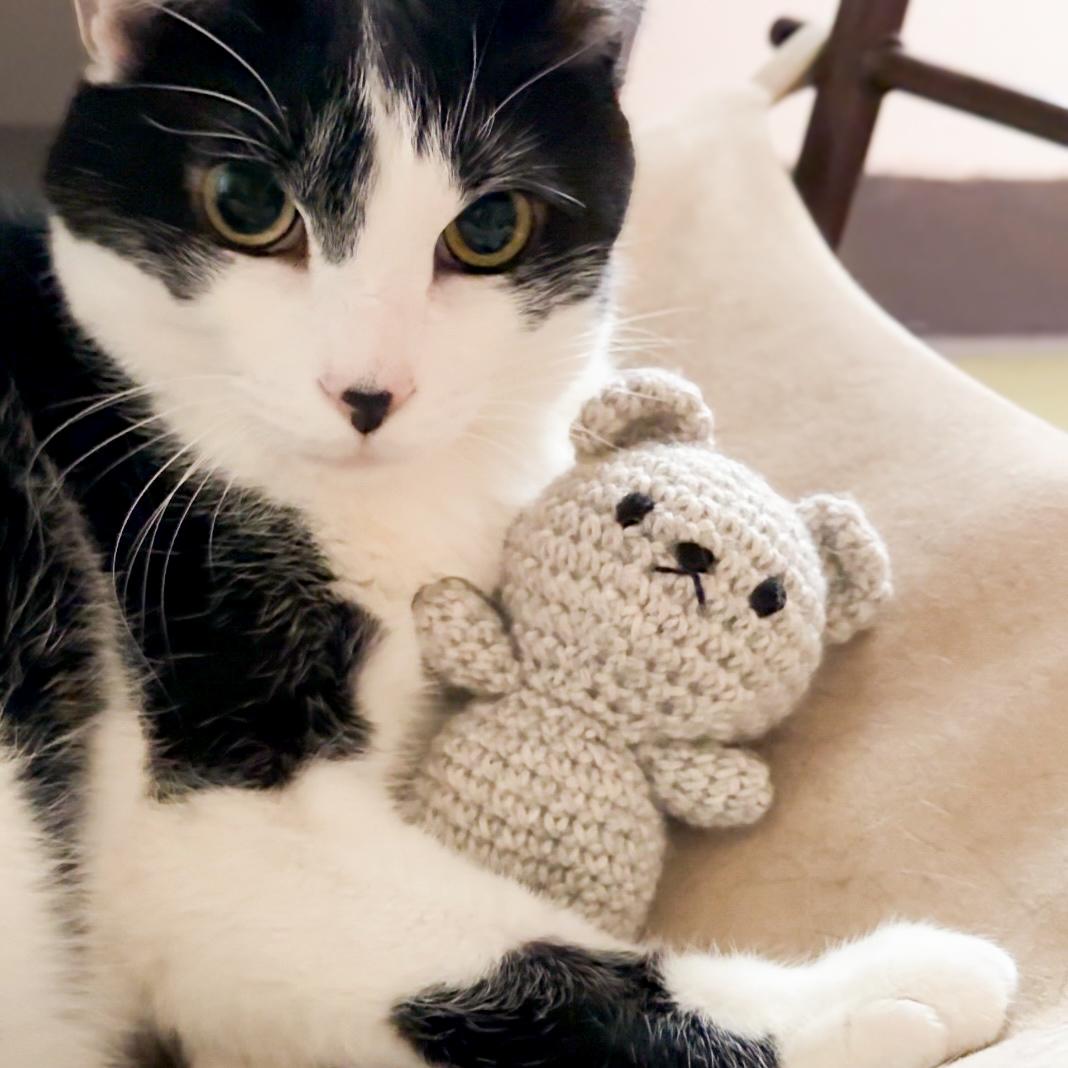 Mochie 的小禮物｜貓咪專屬版