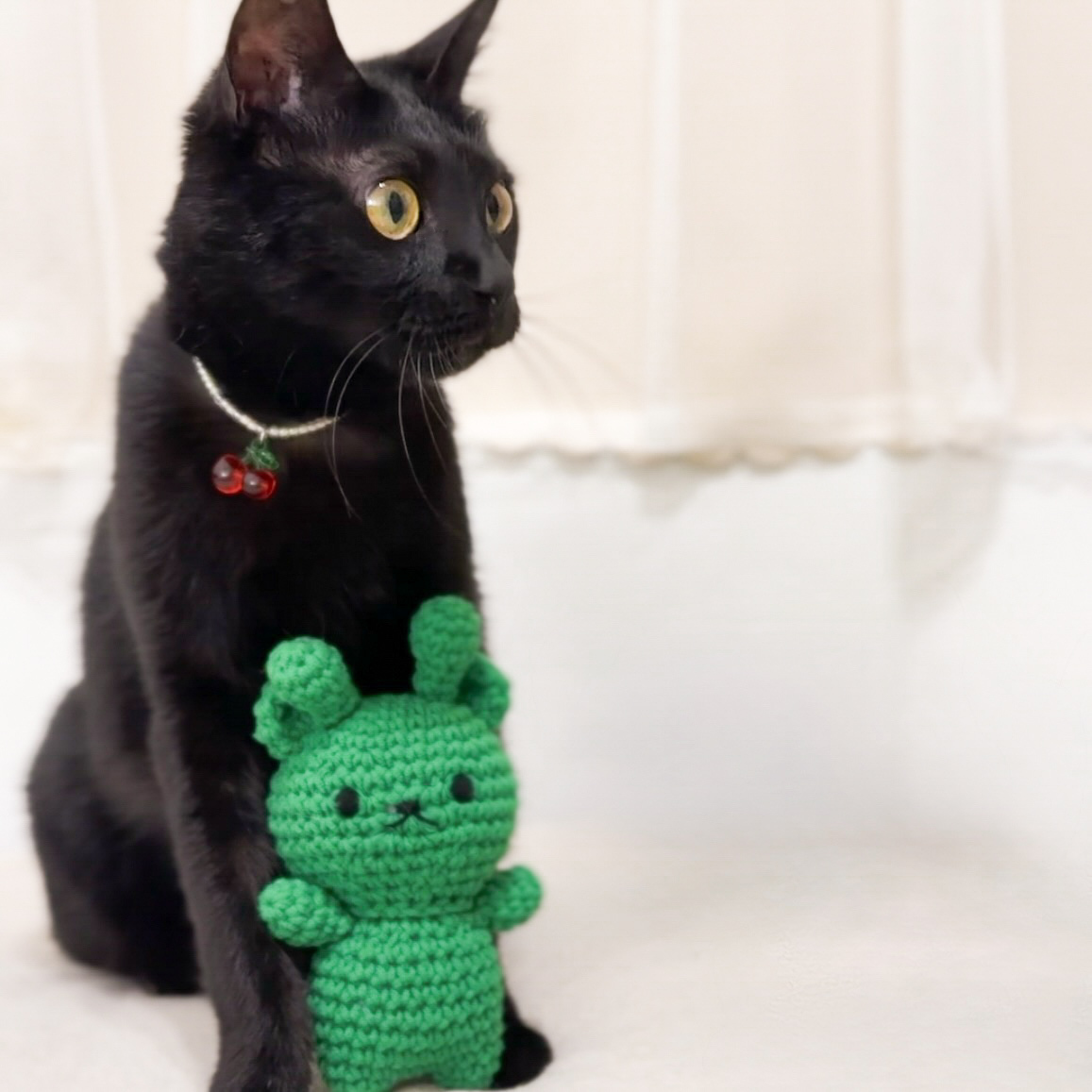 外星熊熊｜貓咪專屬版