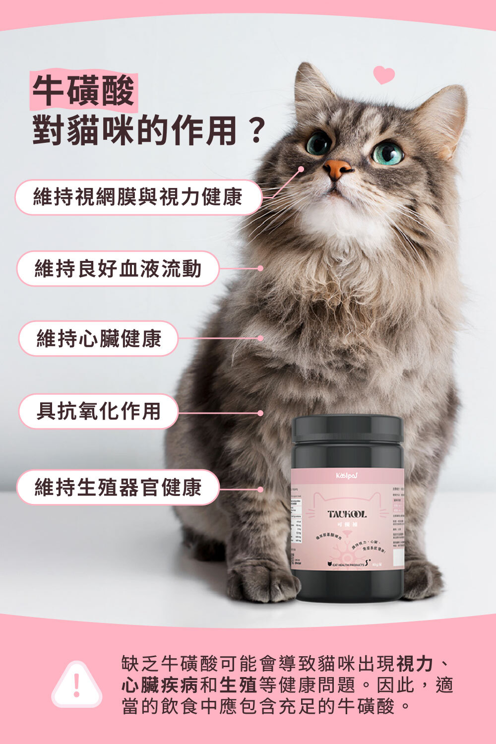 牛磺酸對貓咪的好處:心臟、視力、生殖系統健康|可沛可優補