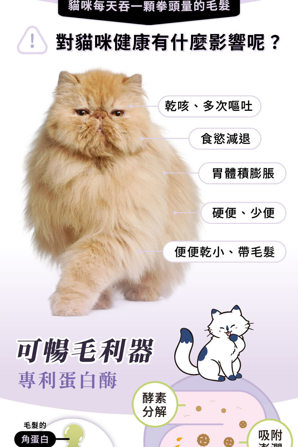 毛髮囤積在貓咪腸胃裡會造成乾咳嘔吐、硬便、少便等問題|可沛可暢毛