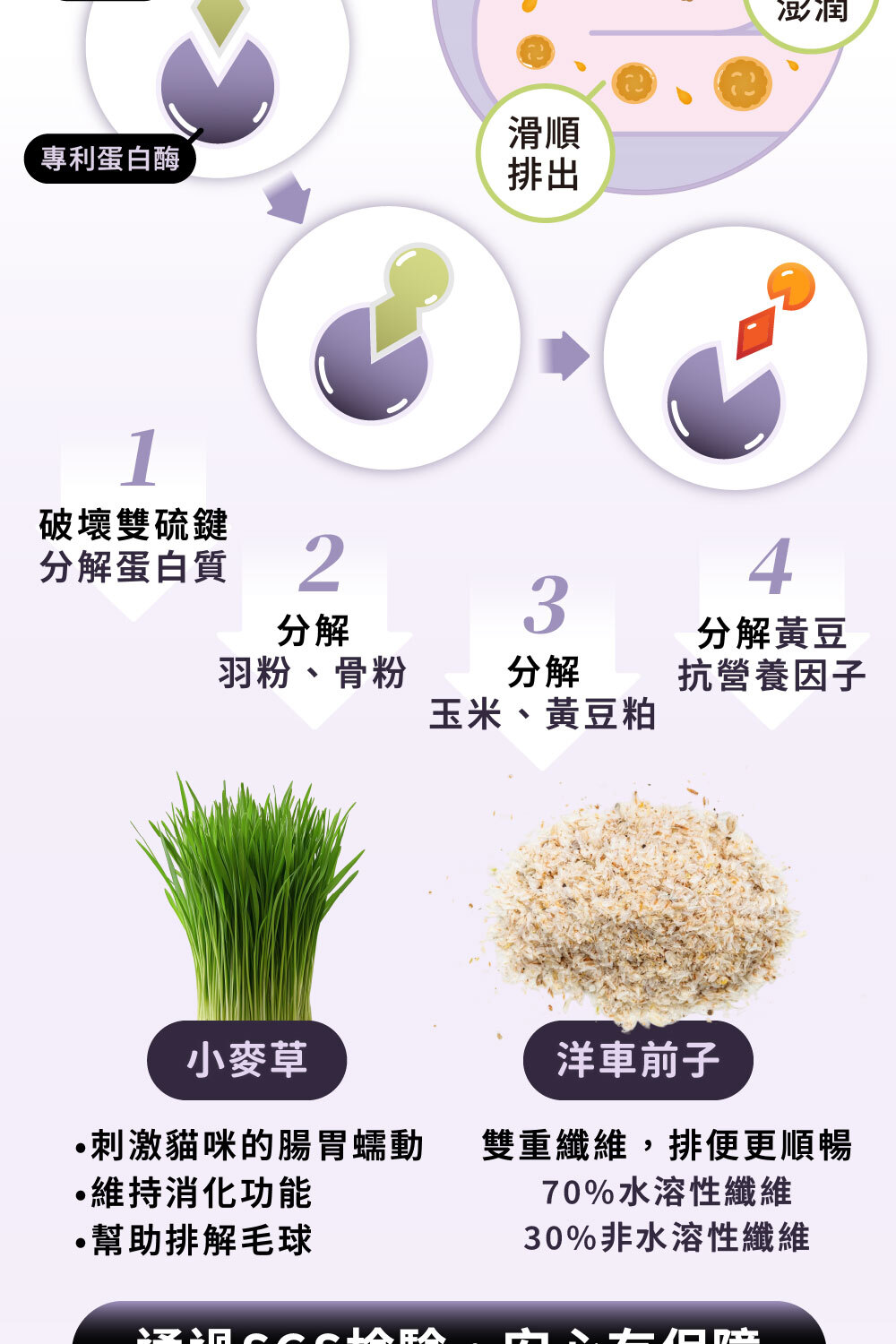 添加可消化毛髮角蛋白的蛋白酶,搭配小麥草、洋車前子將毛球排出|可沛可暢毛