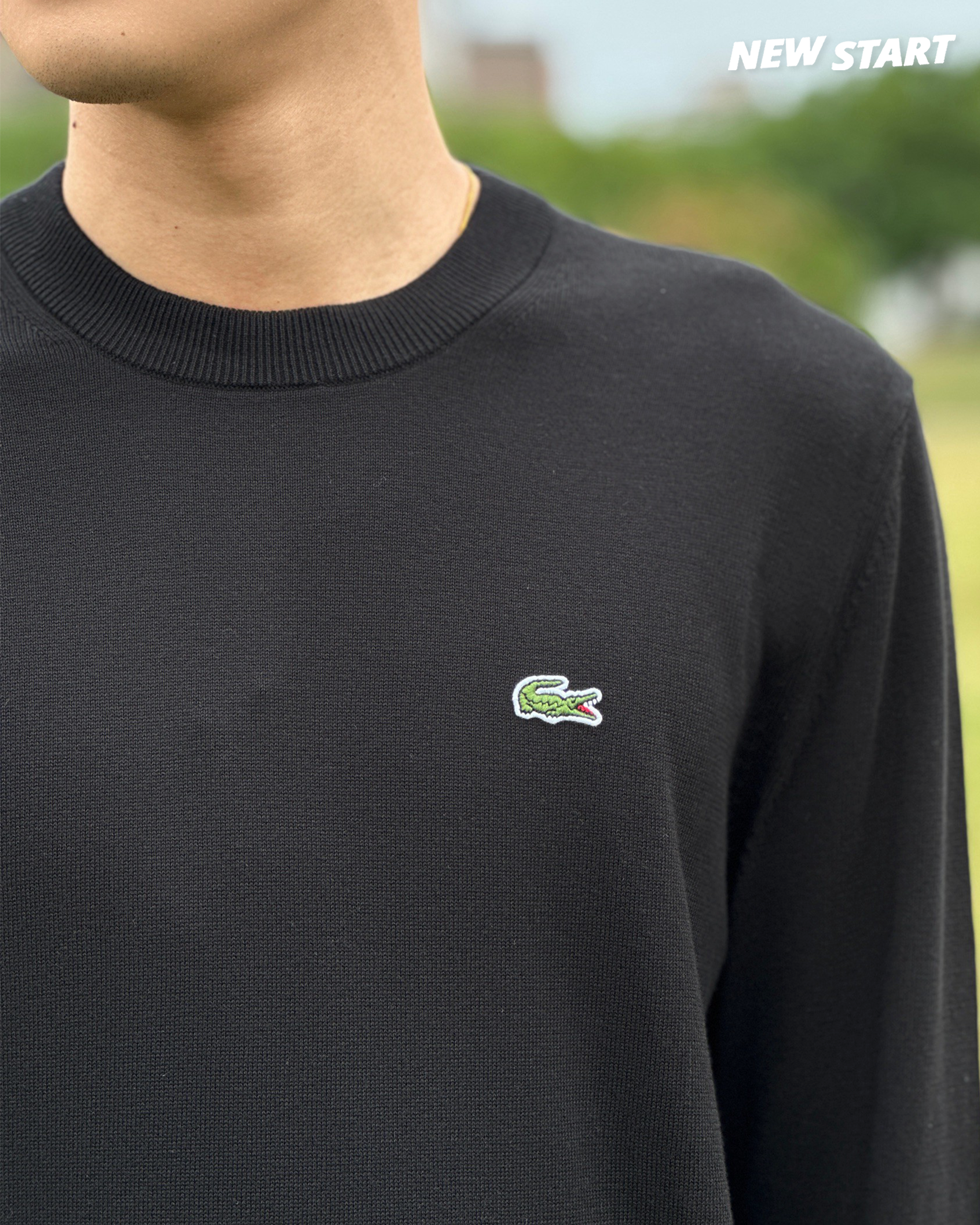 Lacoste 鱷魚 經典小Logo 素面 針織衫 長袖上衣