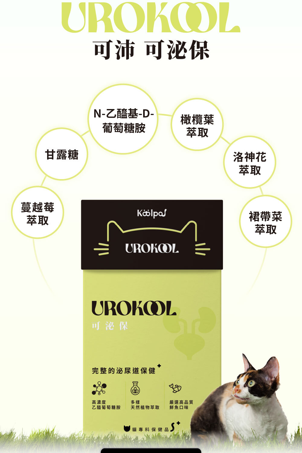 添加乙醯葡萄糖胺、甘露糖、蔓越莓、裙帶菜、洛神花、橄欖葉萃取|可沛可泌保