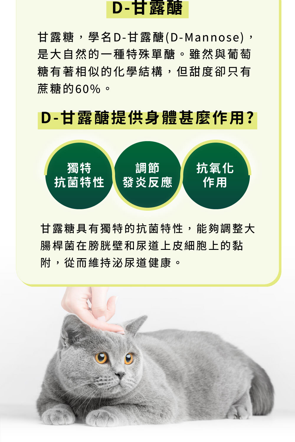 甘露糖調理免疫反應、抗菌、抗氧化|可沛可泌保