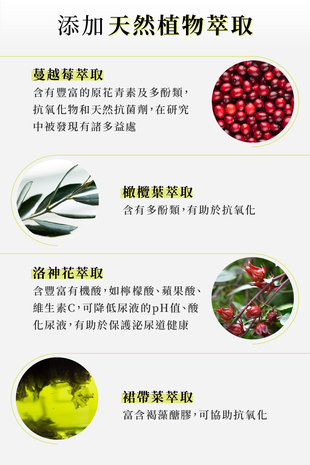 添加天然植物萃取|可沛可泌保