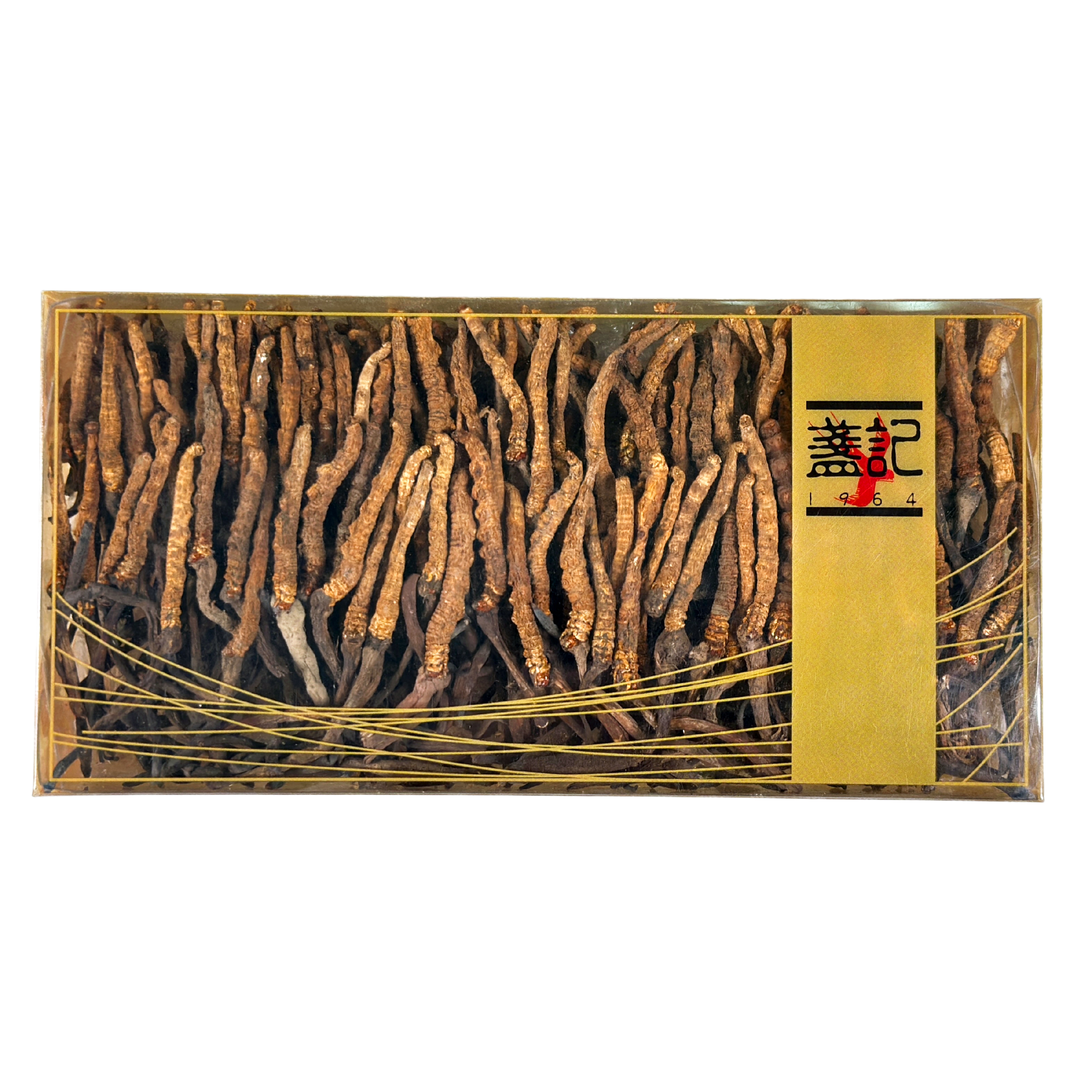 西藏野生冬蟲夏草 (一両禮盒裝) (190-220條)