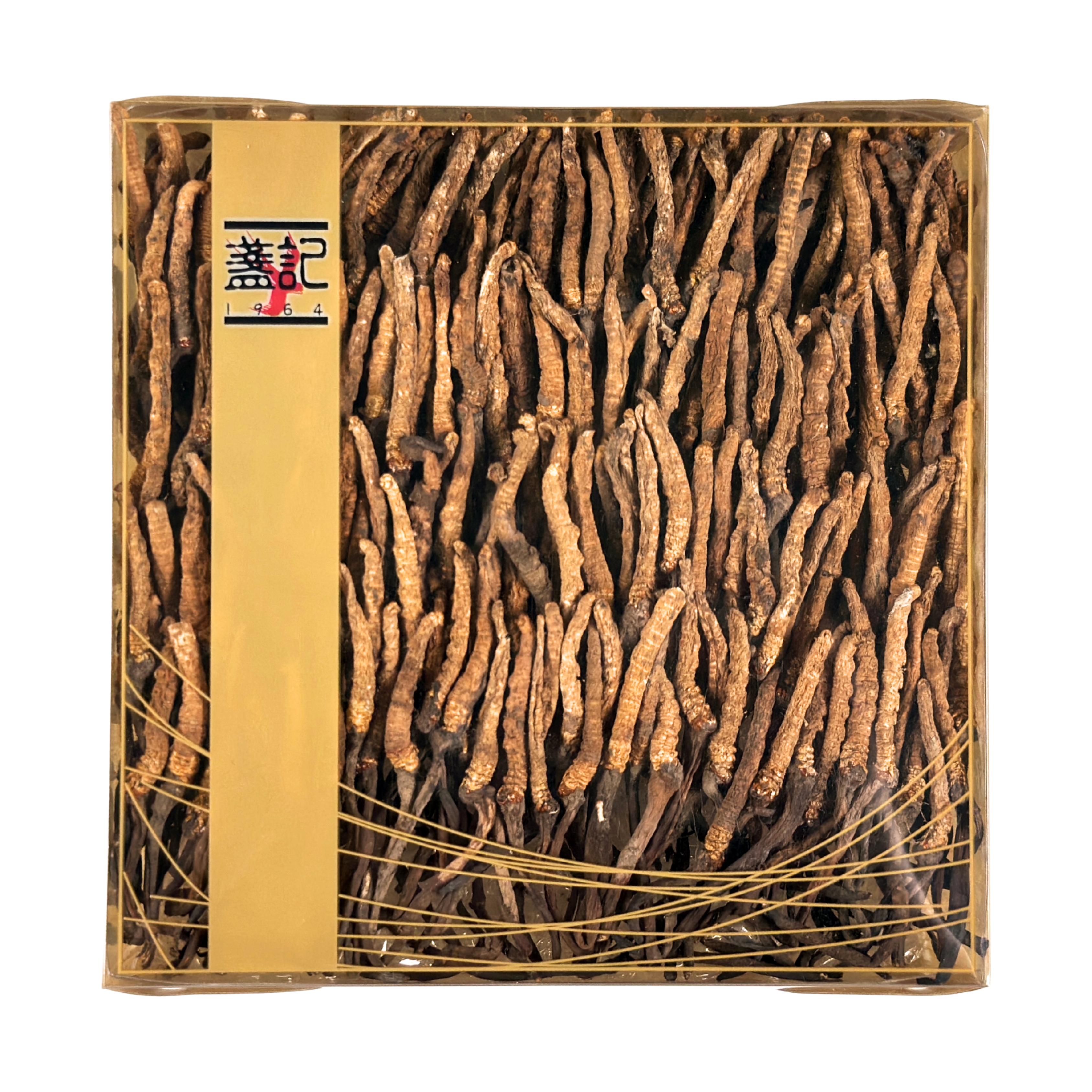 西藏野生冬蟲夏草(一両禮盒裝) 300條以上