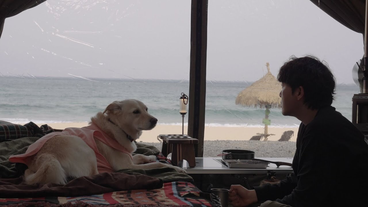 帶著 10.0 和 充氣拓展 還有狗狗 第一次出發去海邊露營