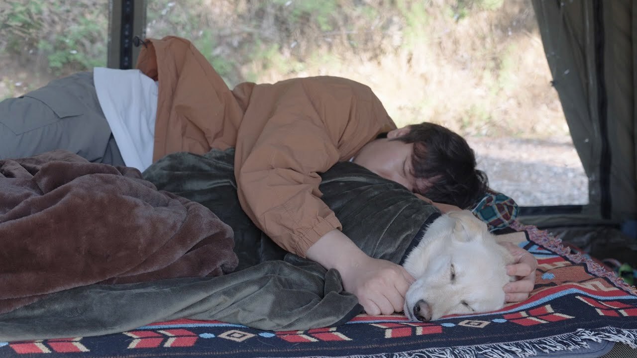 和狗狗帶著10.0一起到森林展開春天露營 🌳🐶