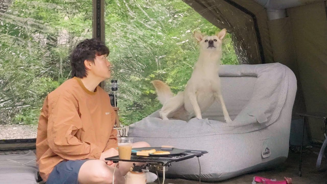 在充滿暖陽與鳥鳴的春日裡 帶著 Coody 10.0 享受一場森林露營 🌿