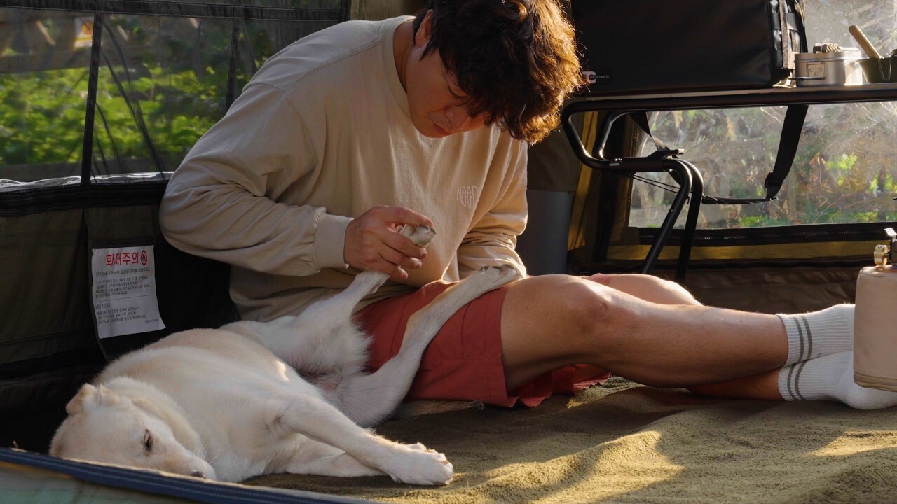 Coody 10.0 與我家寶貝在微涼秋天森林裡的氛圍露營