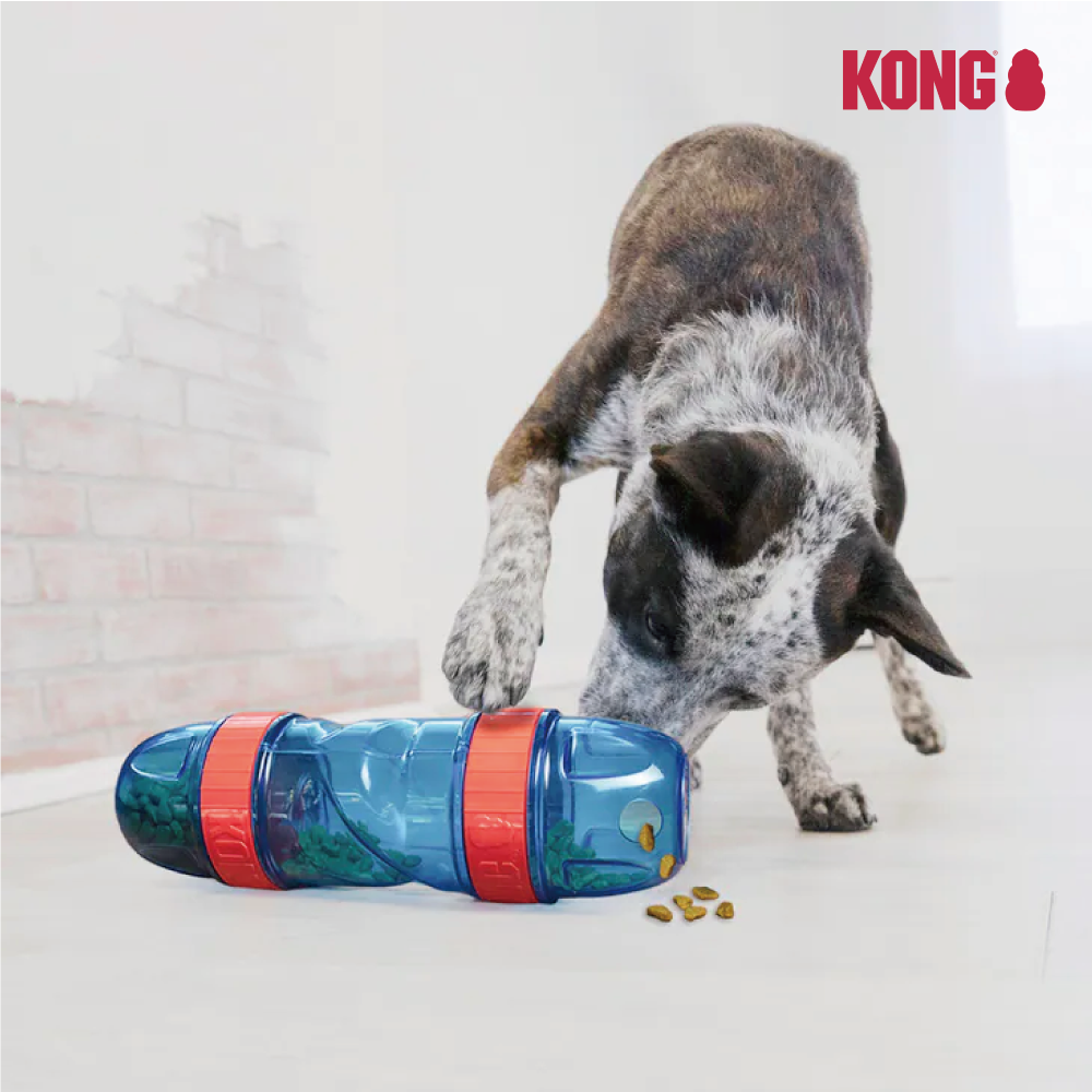 KONG | 百變慢食器 漏食玩具