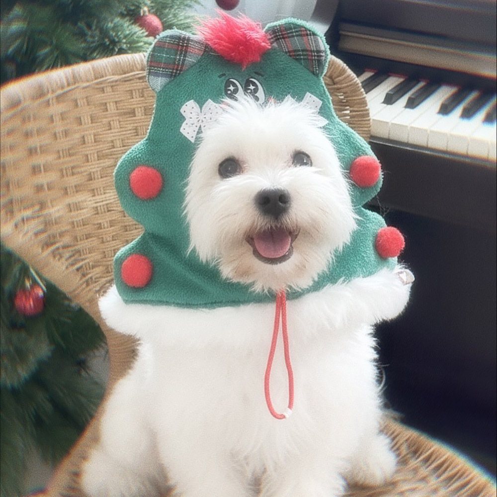 Mormat｜ Cozy Green Teddy 頭套