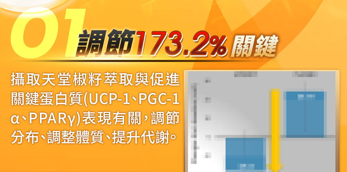 一眠一寸銷售感銷售頁-嚴萃保健-23