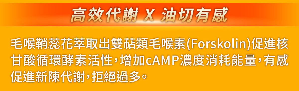 一眠一寸銷售感銷售頁-嚴萃保健-30