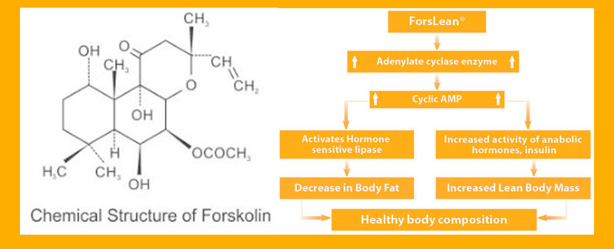 一眠一寸銷售感銷售頁-嚴萃保健-31