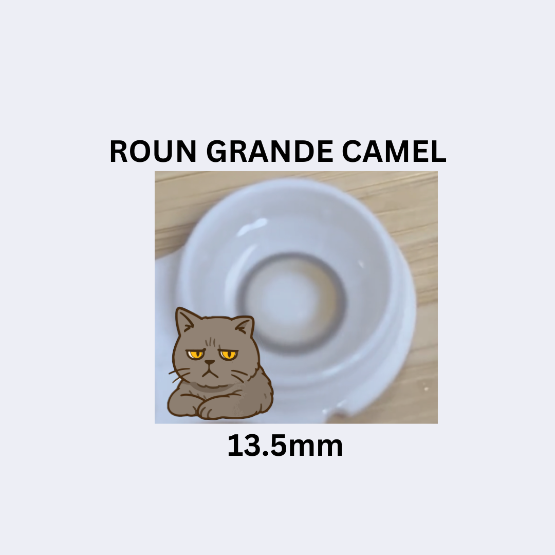 [月拋] Vivienne Westwood Fixing Roun Grande Camel 彩妝隱形眼鏡｜每盒1片