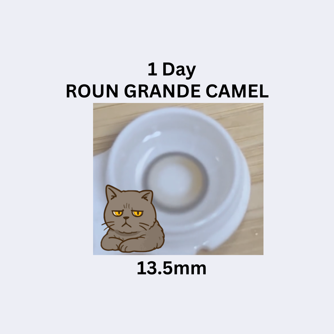 [日拋] Vivienne Westwood Fixing 1 Day Roun Grande Camel 彩妝隱形眼鏡｜每盒10片