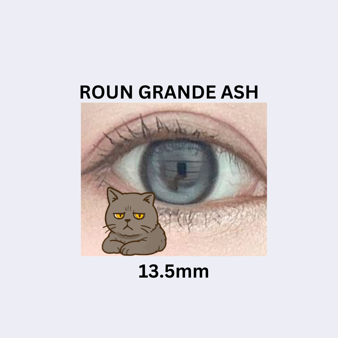 Vivienne Westwood Roun Grande Ash 月拋彩妝隱形眼鏡｜每盒1片