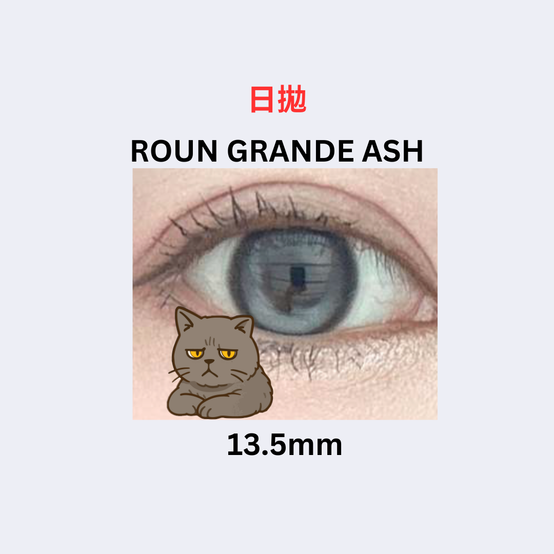 [日拋]Vivienne Westwood Fixing 1 DAY ROUN Grande Ash 日拋棄型有色彩妝隱形眼鏡｜每盒10片