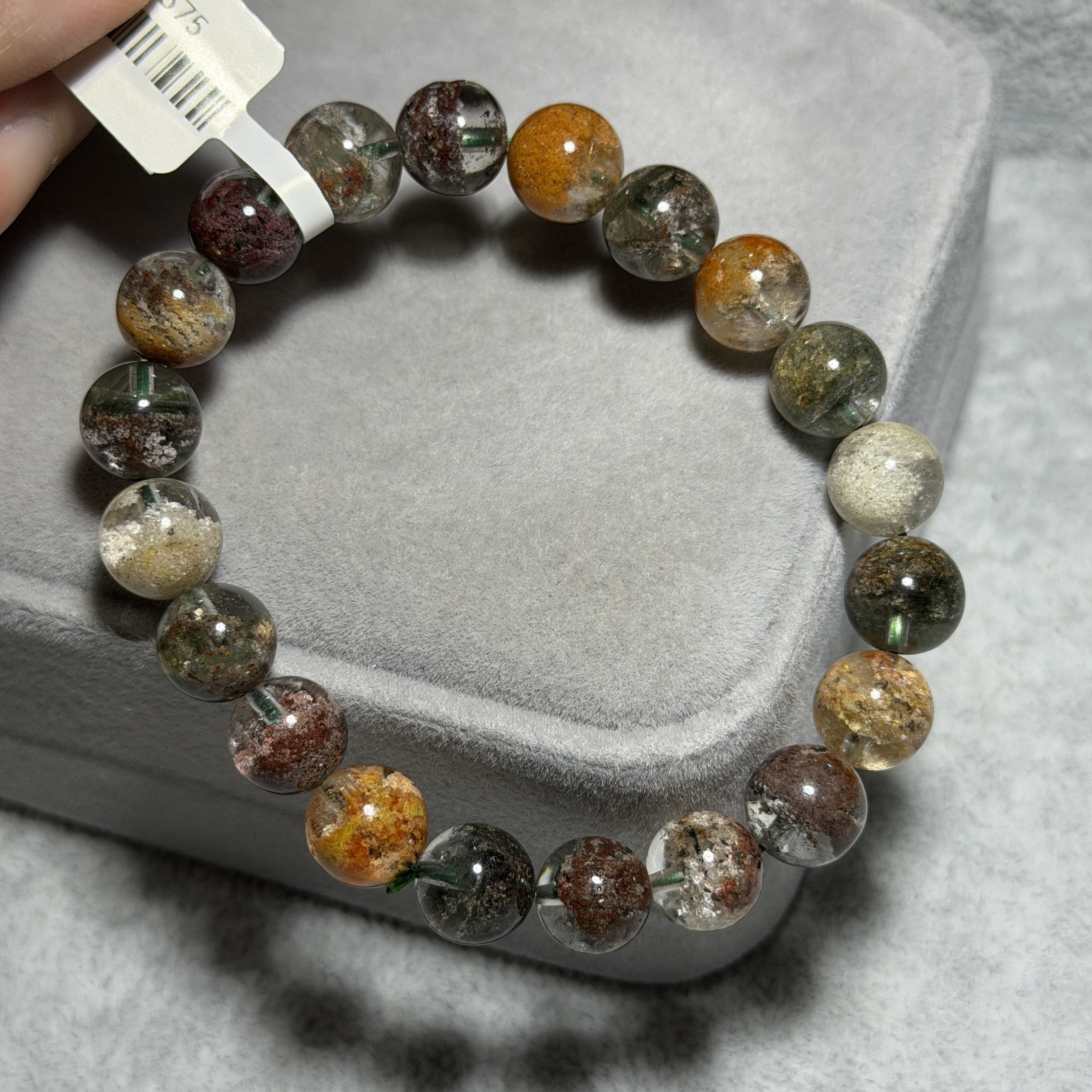 彩幽靈/四季幽靈 9.5+mm CGS1575