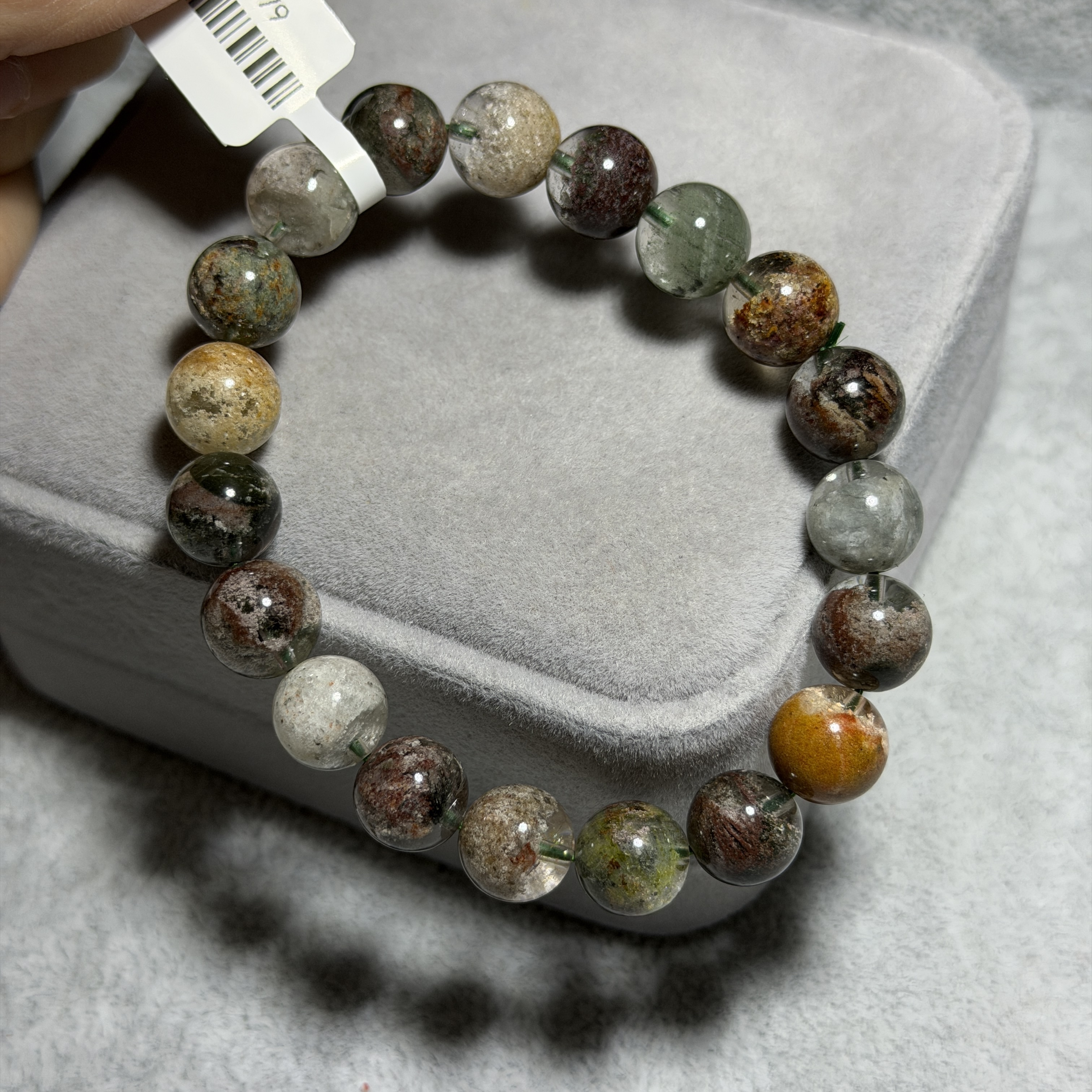 彩幽靈/四季幽靈 10+mm CGS1579