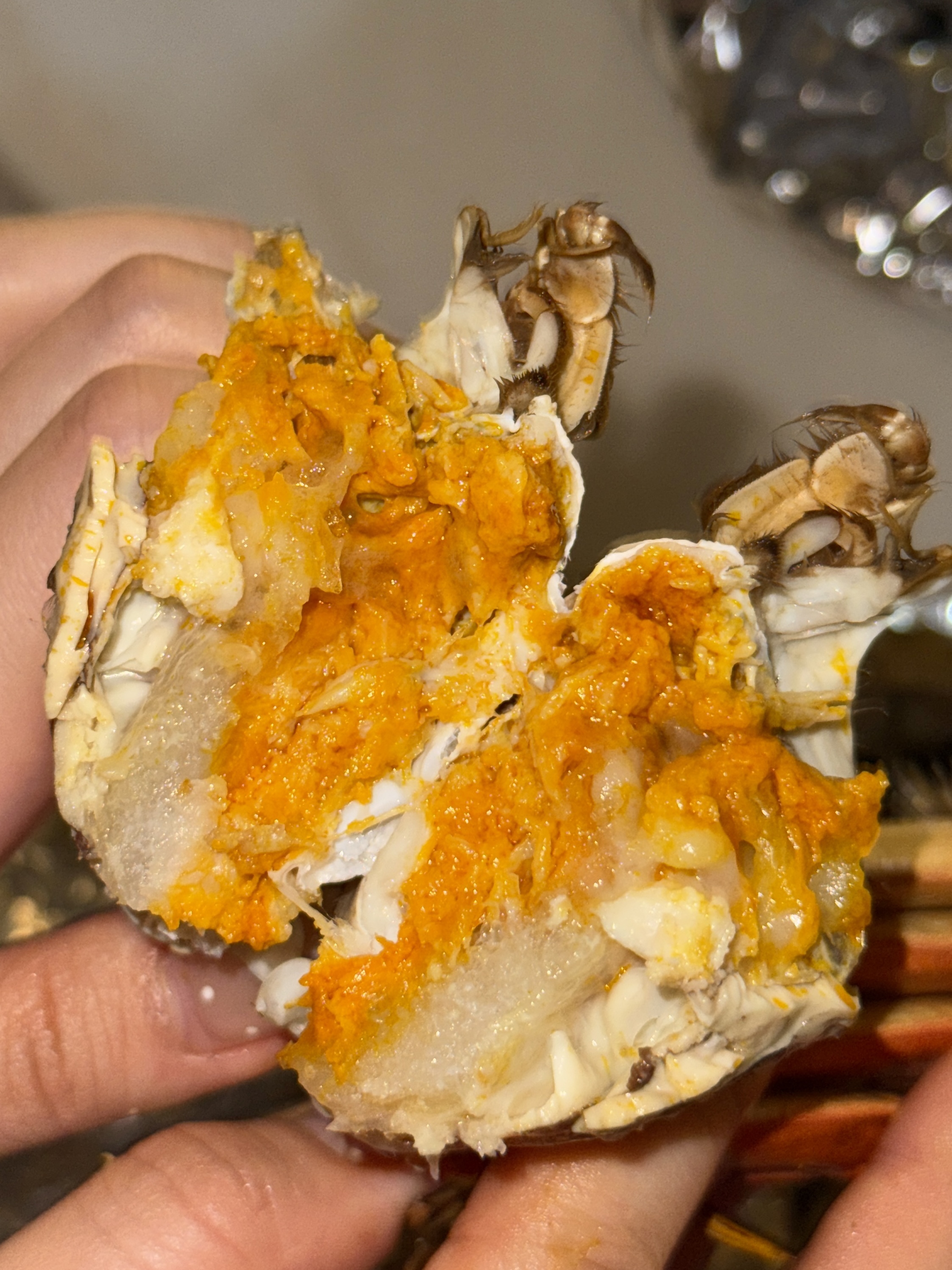 蟹季限定--太湖大蟹公*4隻套餐（9-10両）