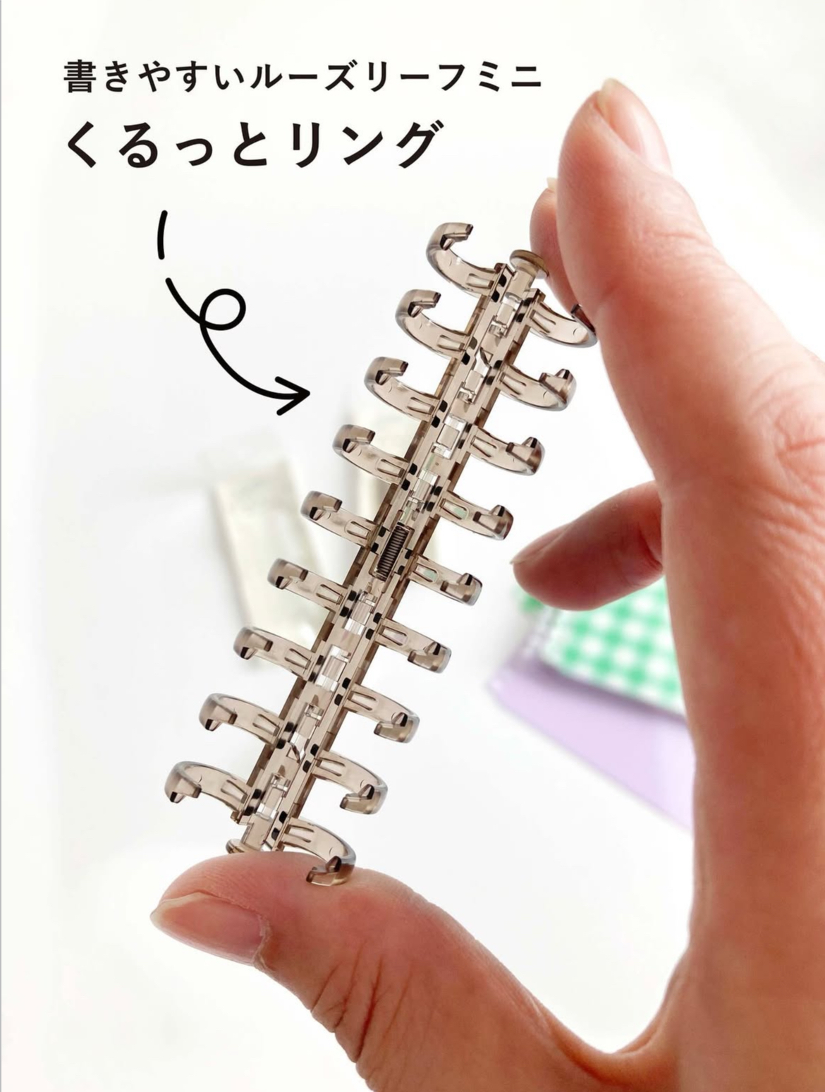 KURUTTO RING 9孔 活頁夾 棕色｜MARUMAN 日本