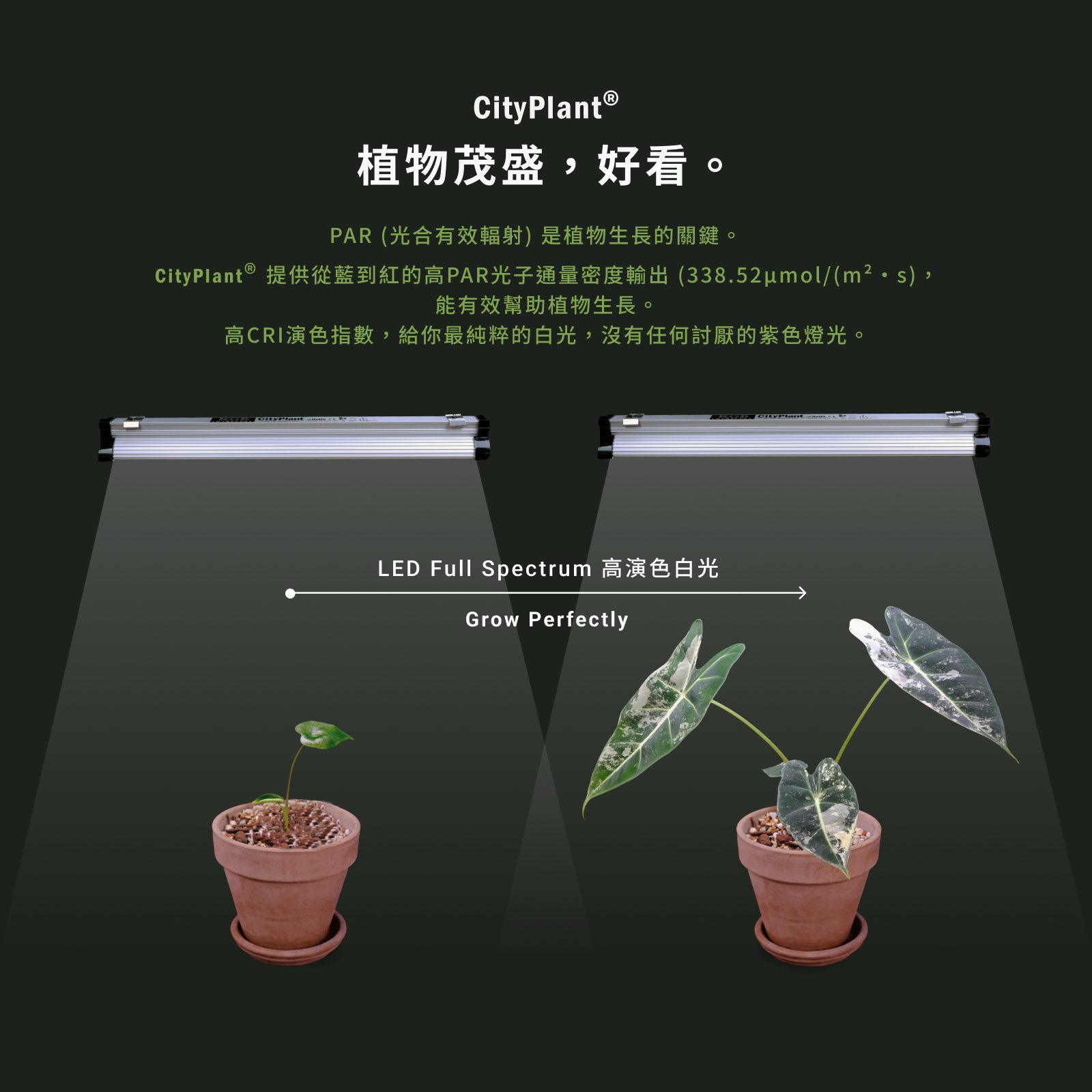 CityPlant S45 全光譜LED植物燈｜高PAR輸出