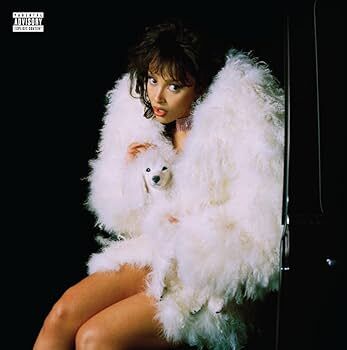 DOJA CAT - Vie Clear Vinyl 2LP (Alternate cover)