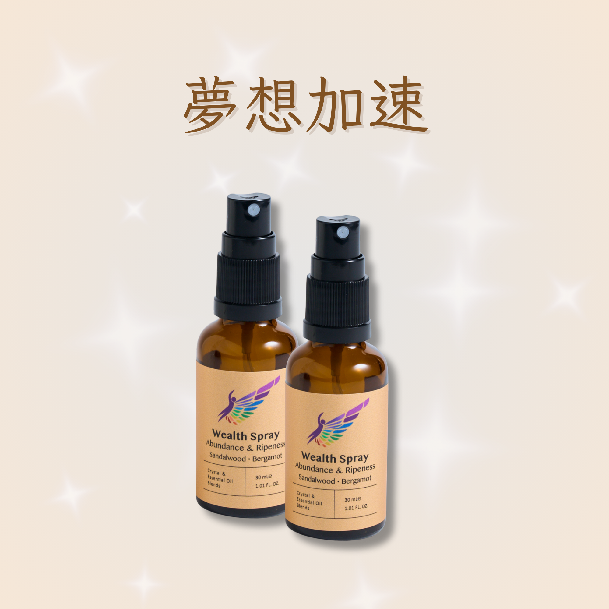 夢想加速組